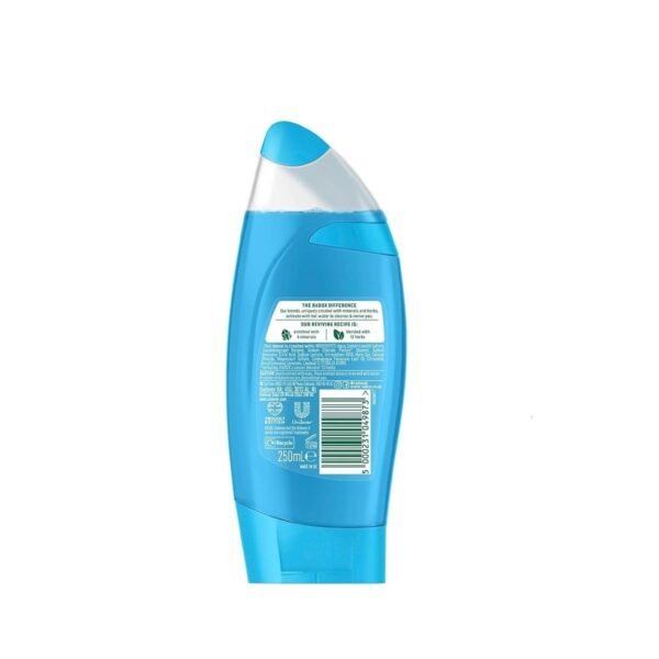 Radox Bath and Shower (Shower Gel Active 2x250ml) - Image 2